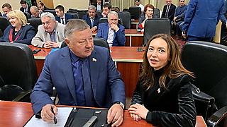 Заседание рабочей группы по решению проблем 